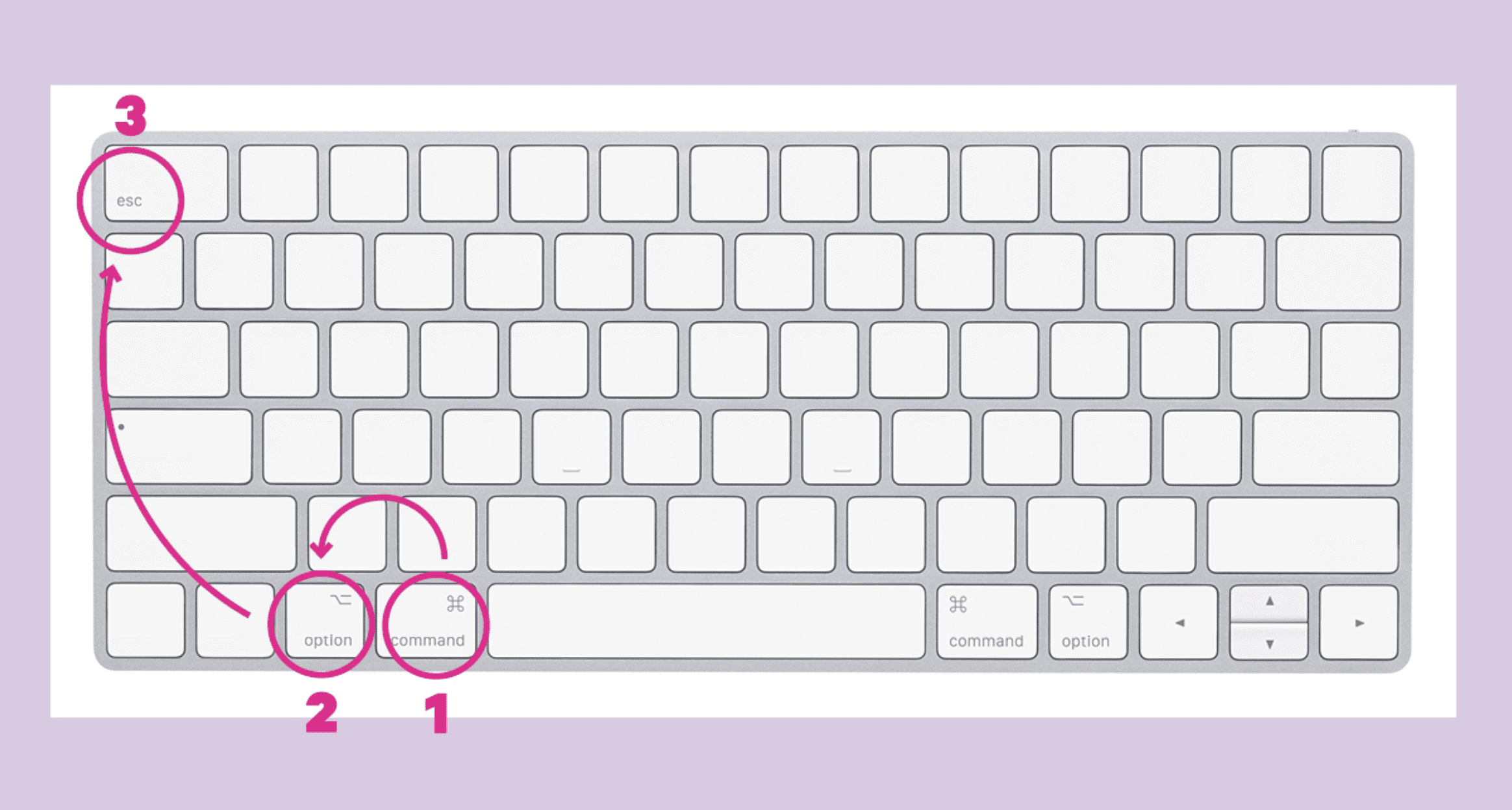 Option + Command + Esc mac